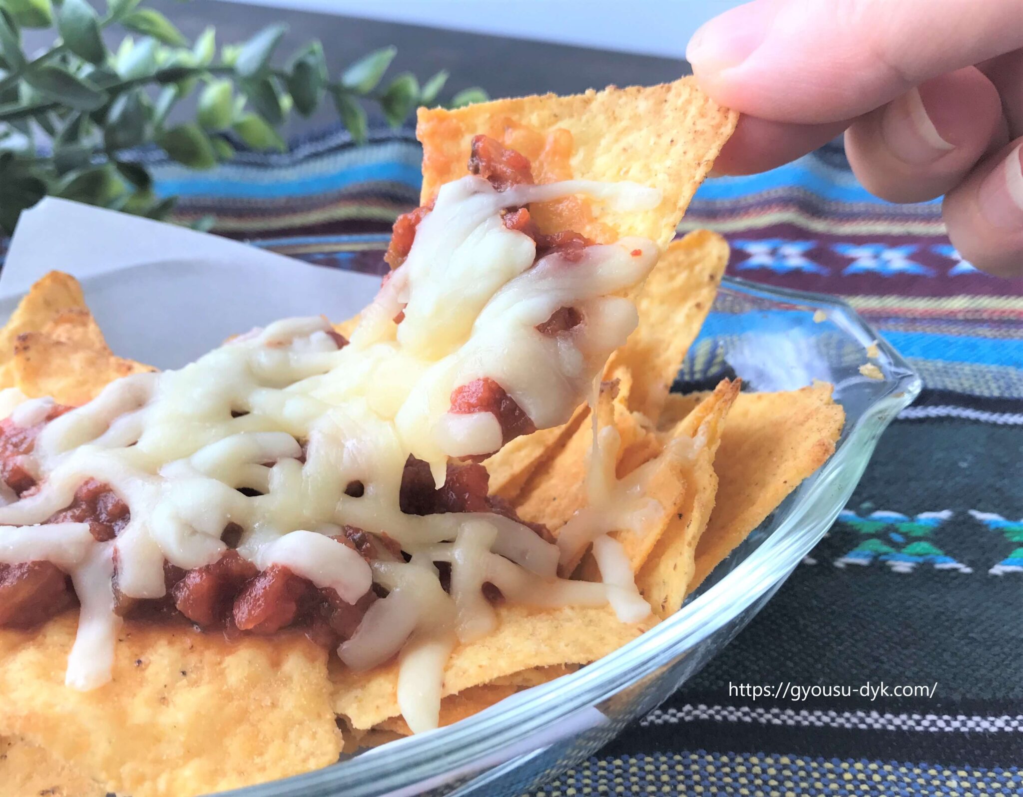 業務スーパーのトルティーヤチップスチーズ風味はサルサソースと相性 カロリー・塩分も紹介 GYOUSUnote