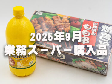 【業務スーパー購入品2025年9月】4回目はBBQ用の「鶏もも串」をメインに！