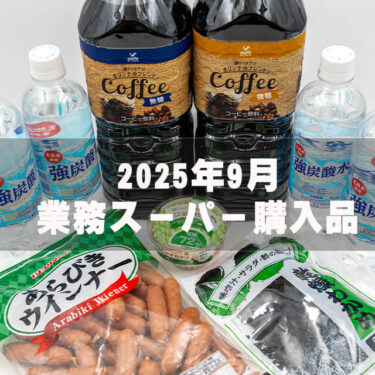 【業務スーパー購入品2025年9月】欲しかった無糖タイプ購入！