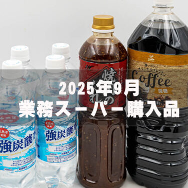 【業務スーパー購入品2025年9月】総力祭の店内で鬼リピ品をサクッと購入